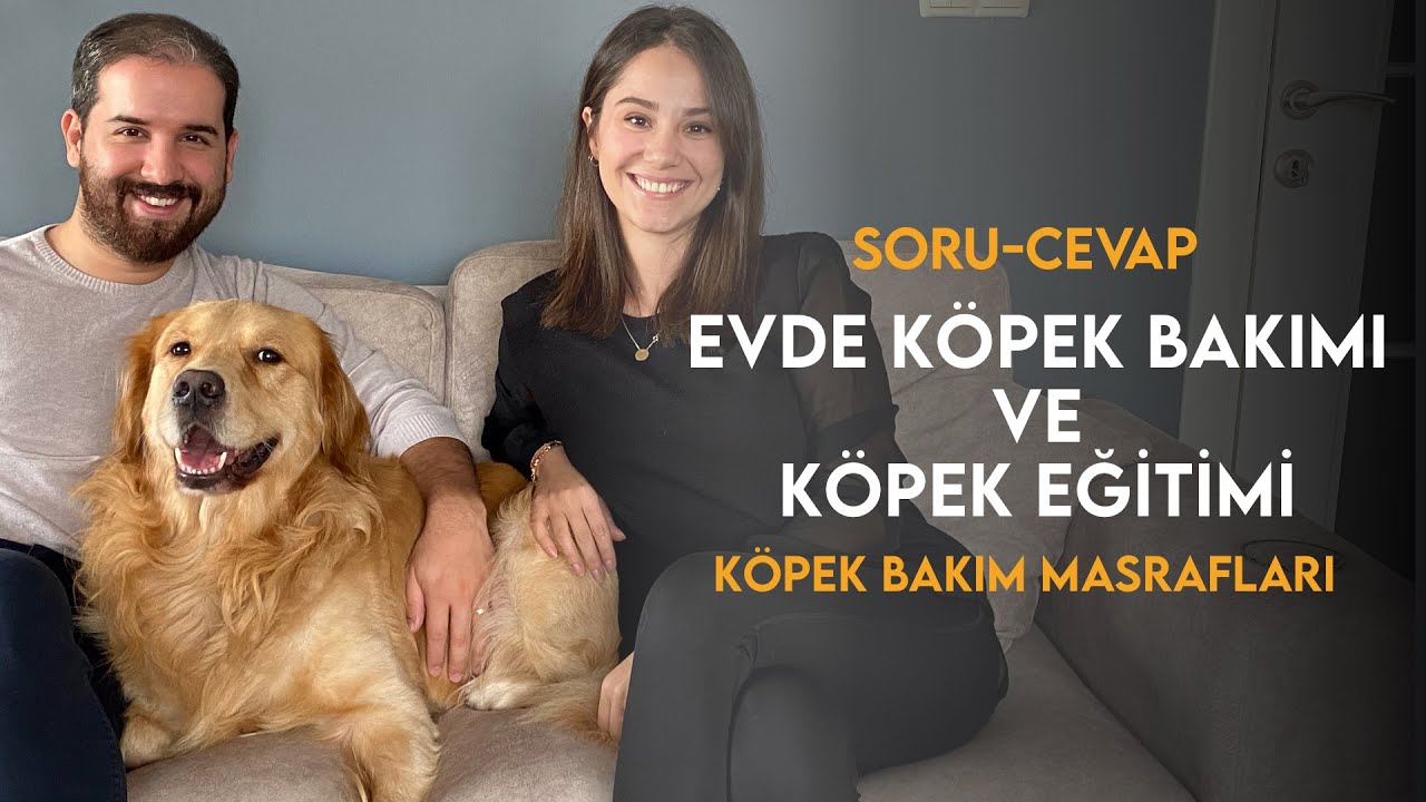 Kopek Bakimi Evde Kopek Bakmak Zor Mu Youtube