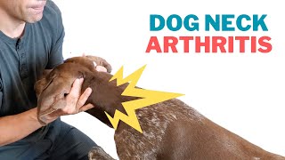 Dog Neck Arthritis Pain Relief Home Treatment