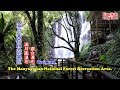 [台北消暑好去處] 帶你搭公車到三峽滿月圓森林遊樂區，走到兩大瀑布底下宛如天然冷氣盡情享受一場森林浴