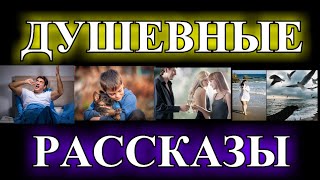 ДУШЕВНЫЕ  РАССКАЗЫ❤️ЭЛИТА❤️ЭМАНУЭЛЬ❤️ЛУЧШАЯ ПОДРУГА МУЖА❤️И НЕ ПРИНЦ ВОВСЕ❤️ПОДКИДЫШ❤️@TEFI РАССКАЗЫ