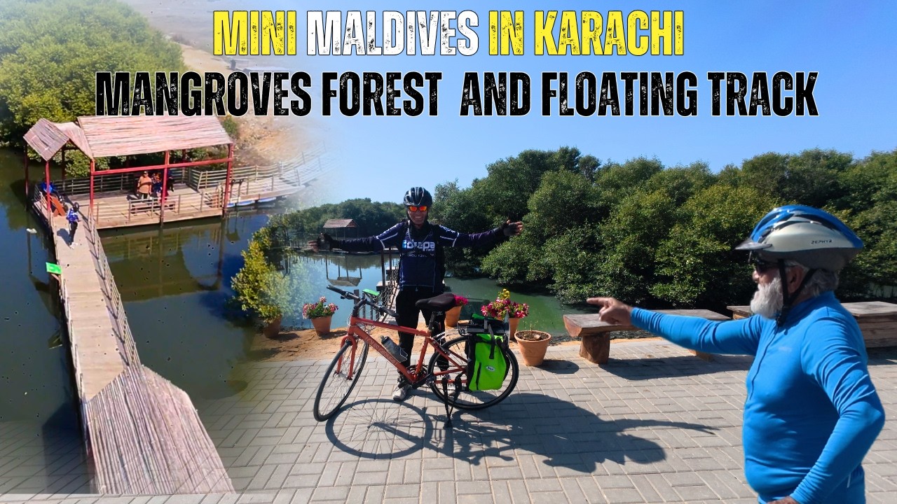 Mangroves Forest | What Are Mangroves | Mini Maldives In Karachi | Mangrove Bio Diversity Park |
