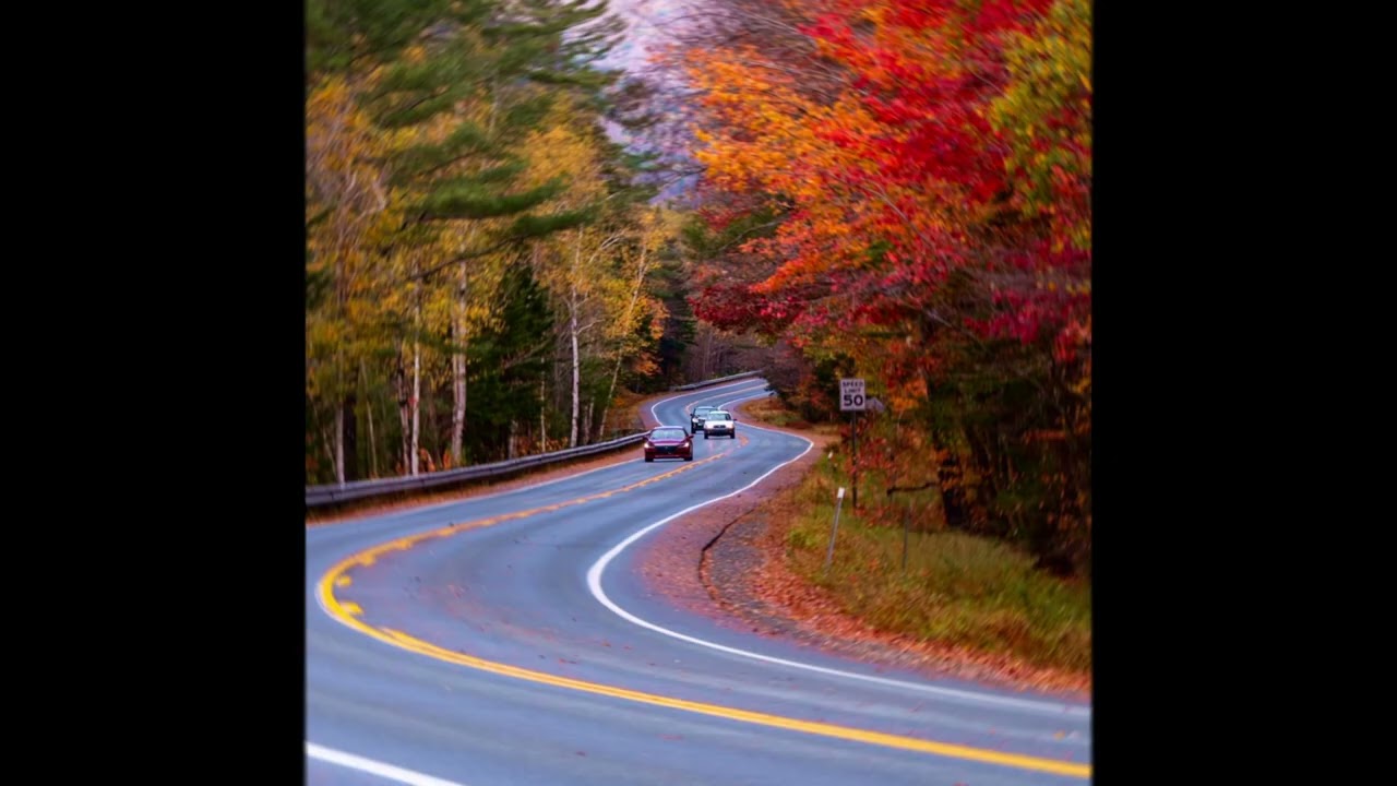 [FREE] Sad Acoustic Guitar Type Beat ~ 