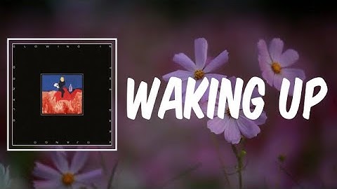 Waking Up (Lyrics) - Django Django