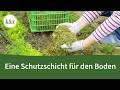 Mit Mulch weniger jäten, düngen und Wasser sparen