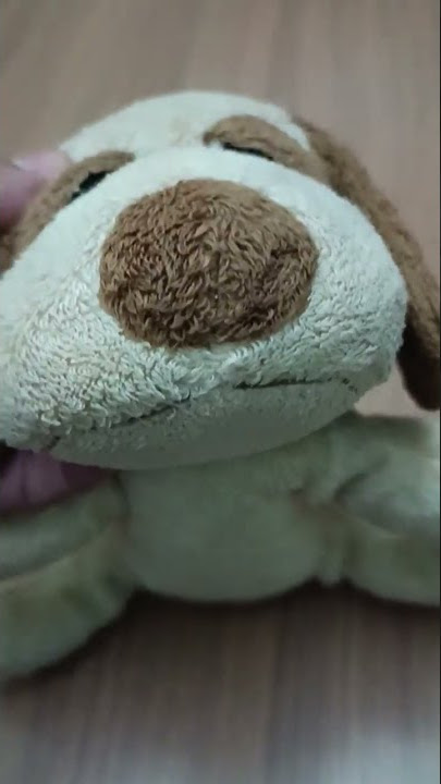 Cachorrinho de Pelúcia Estrela promocional Cacau Show, Gostou?  curta, Comente e Compartilhe