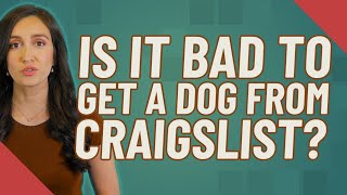 Is it bad to get a dog from Craigslist?