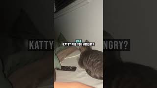This Guy Tries Talking To His Cat Using AI! #cat #shorts