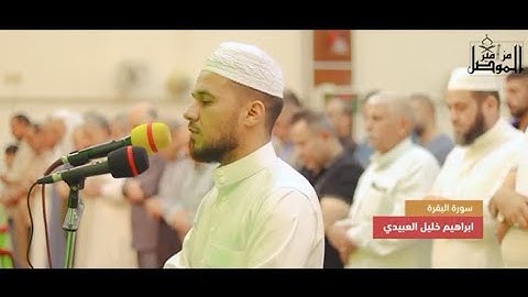 القارئ إبراهيم العبيدى