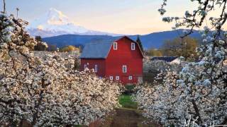 "Coming Home" (to Oregon) - Mat Kearney - Oregon Photo Essay