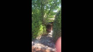 Just Listed: 8170 Park Avenue, Forestville, CA 95436