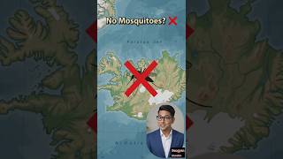 Why Iceland Has Almost No Mosquitoes 🦟😲 #Iceland #GeographyFacts #DidYouKnow #WorldFacts