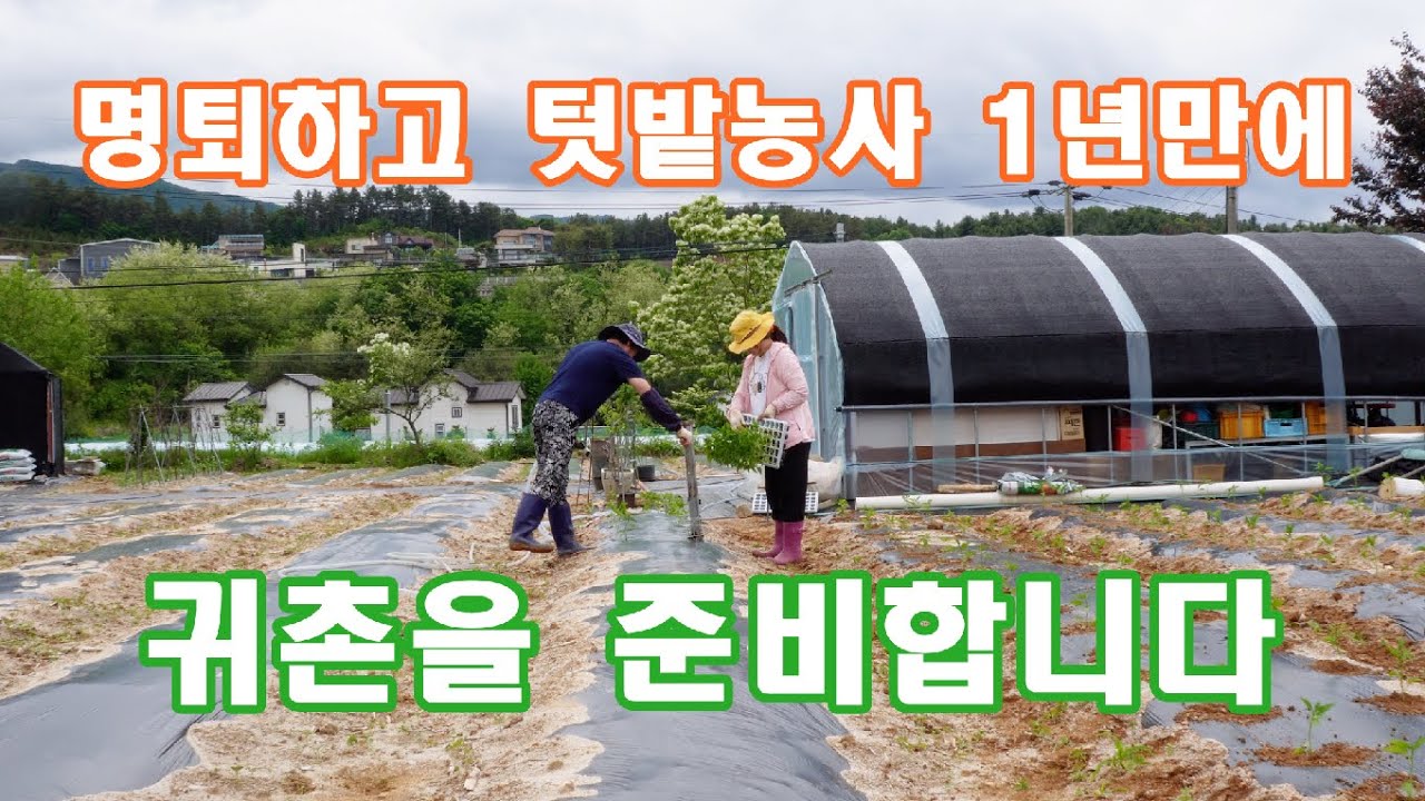 공무원 명퇴 후 250평 텃밭농사 1년의 기록 ㅣ귀촌준비 ㅣ  내게 맞는 땅 구하기 ㅣ ♡귀여운 길냥이 돌봄