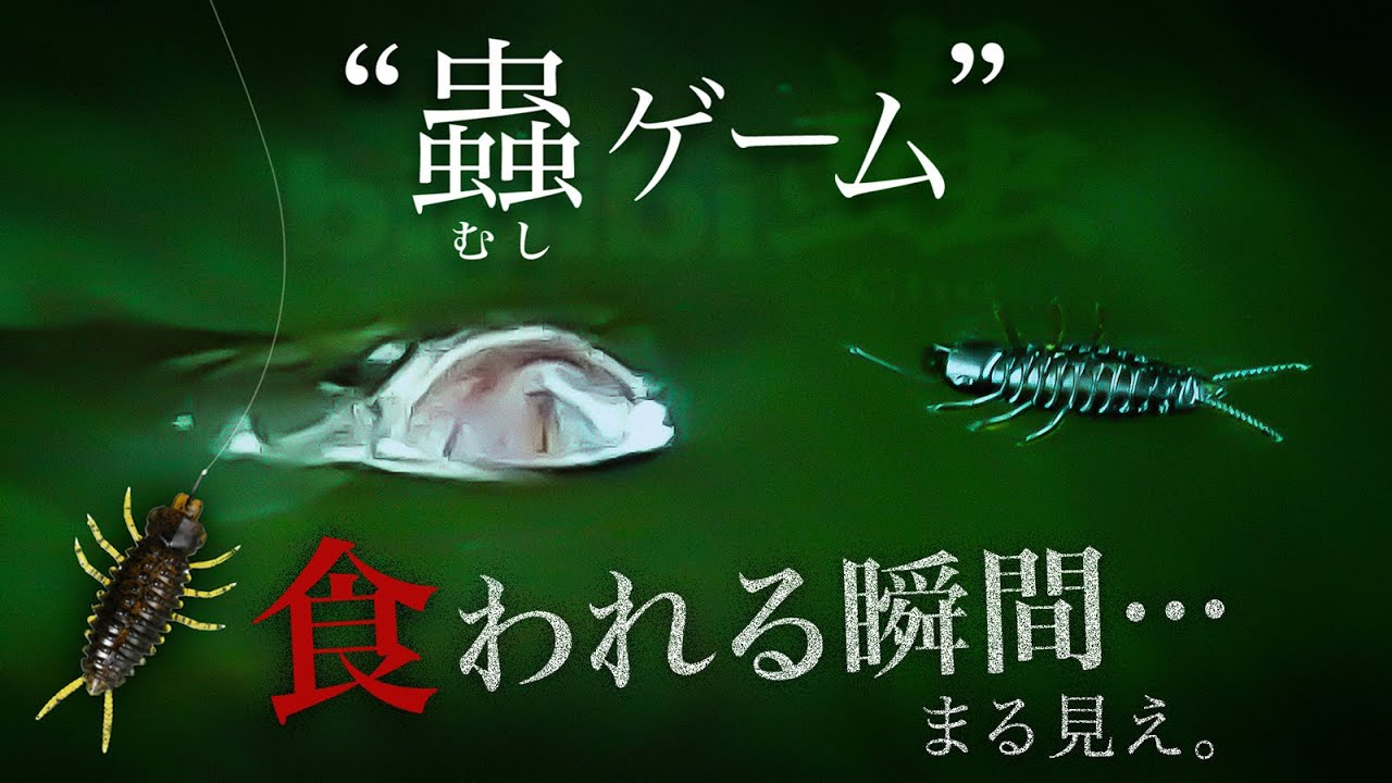 【バス釣り】蟲ゲーム｜水面で食われまくる 「bibibi 蟲（ビビビチュウ）」【赤松健】