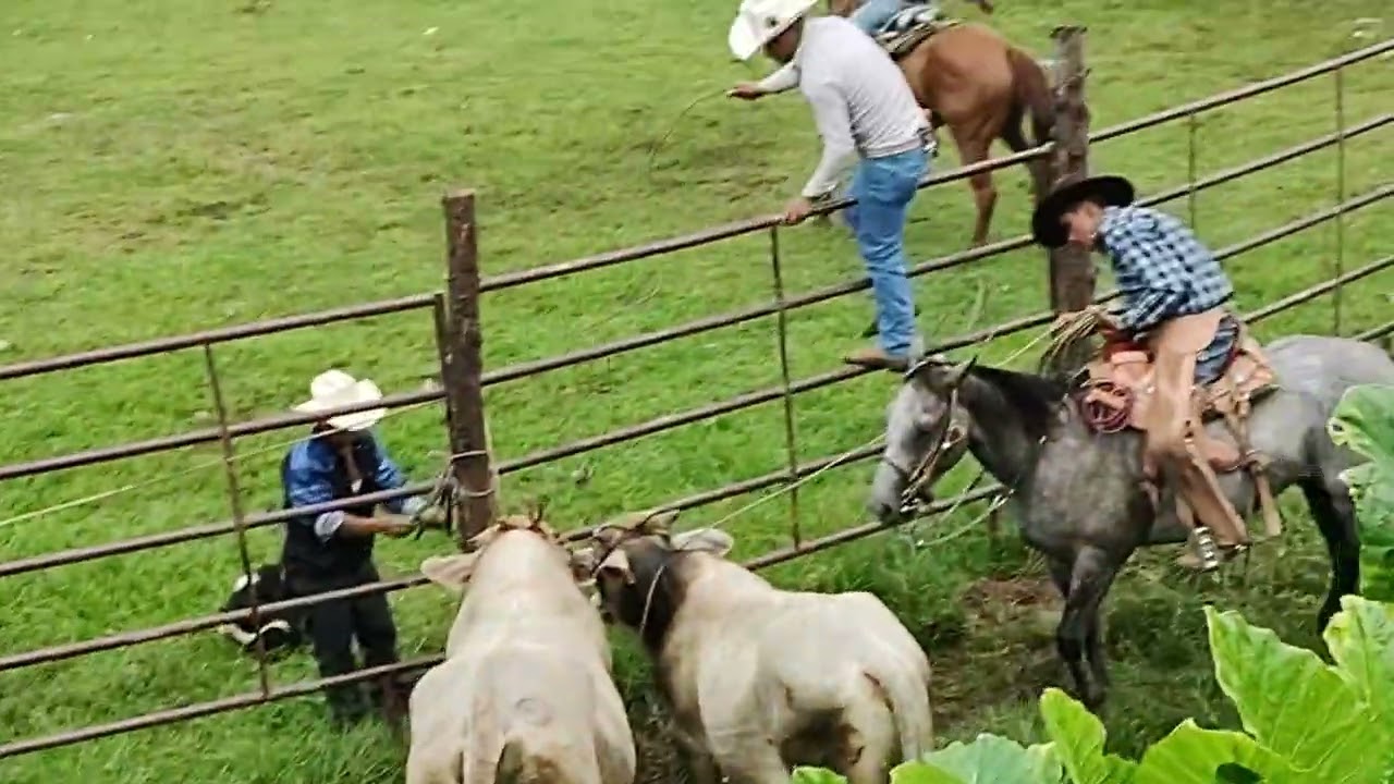 22 de febrero de 2026