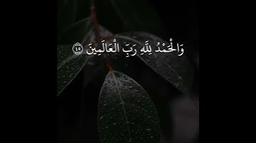حالات واتس اب قران بصوت شريف مصطفى | تلاوة خاشعة | فَقُطِعَ دَابِرُ الْقَوْمِ الَّذِينَ ظَلَمُوا ۚ