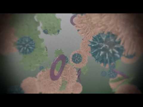 Video: Oregoni Anemone