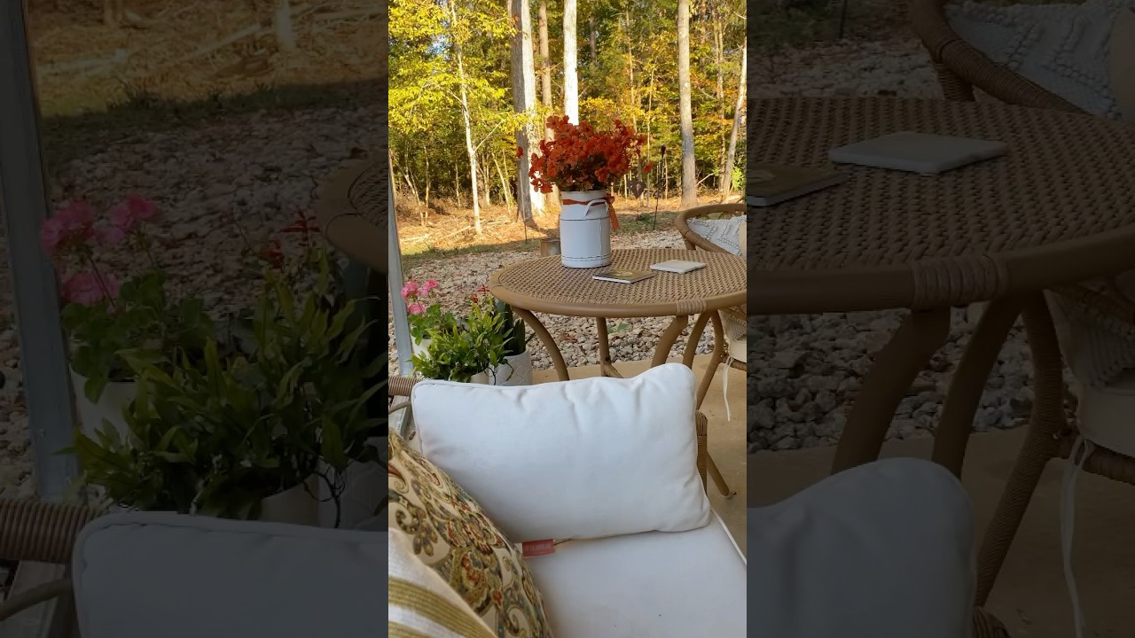 Thank you Heavenly Father 🍁Morning Coffee View ☕️ 