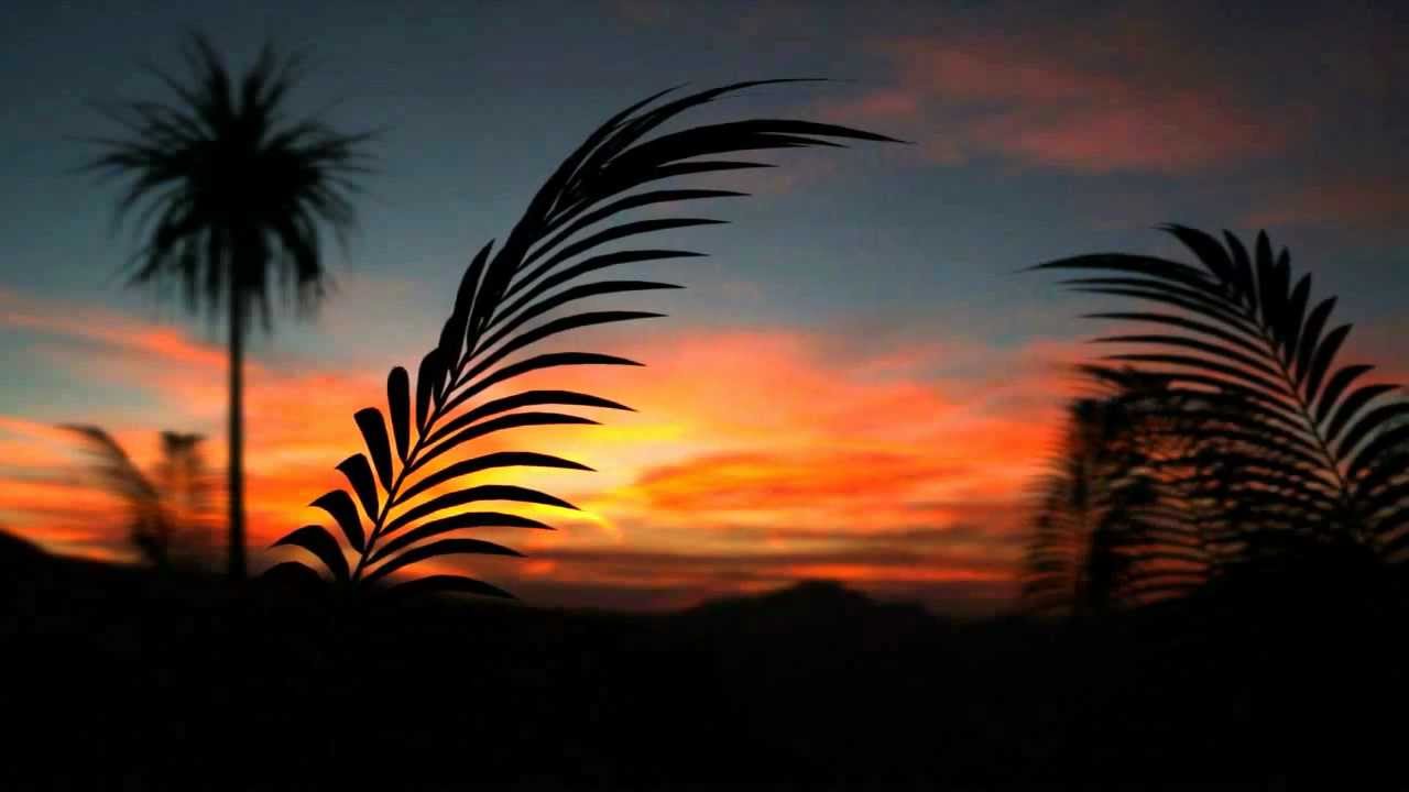 Desktop animated wallpaper sway