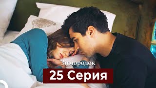 Зимородок 25 Cерия (Русский дубляж)