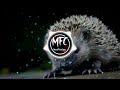 Capture de la vidéo 🎵 (Free Copyright Music) 🎶 Jayden Vega, Dropper Vampire & Jet Zeith - N.o.v.a (Edm) 🎧