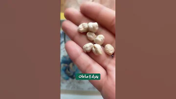 علاج التبول اللاإرادي عند الصغار و الكبار 