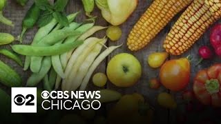 Pilsen pilot program delivers prescription for produce