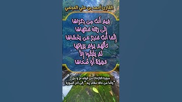 ما تيسر من سورة النازعات #احمد_العجمي #quran_karim_قران_الكريم #اكسبلور #morocco #foryou #quran #f