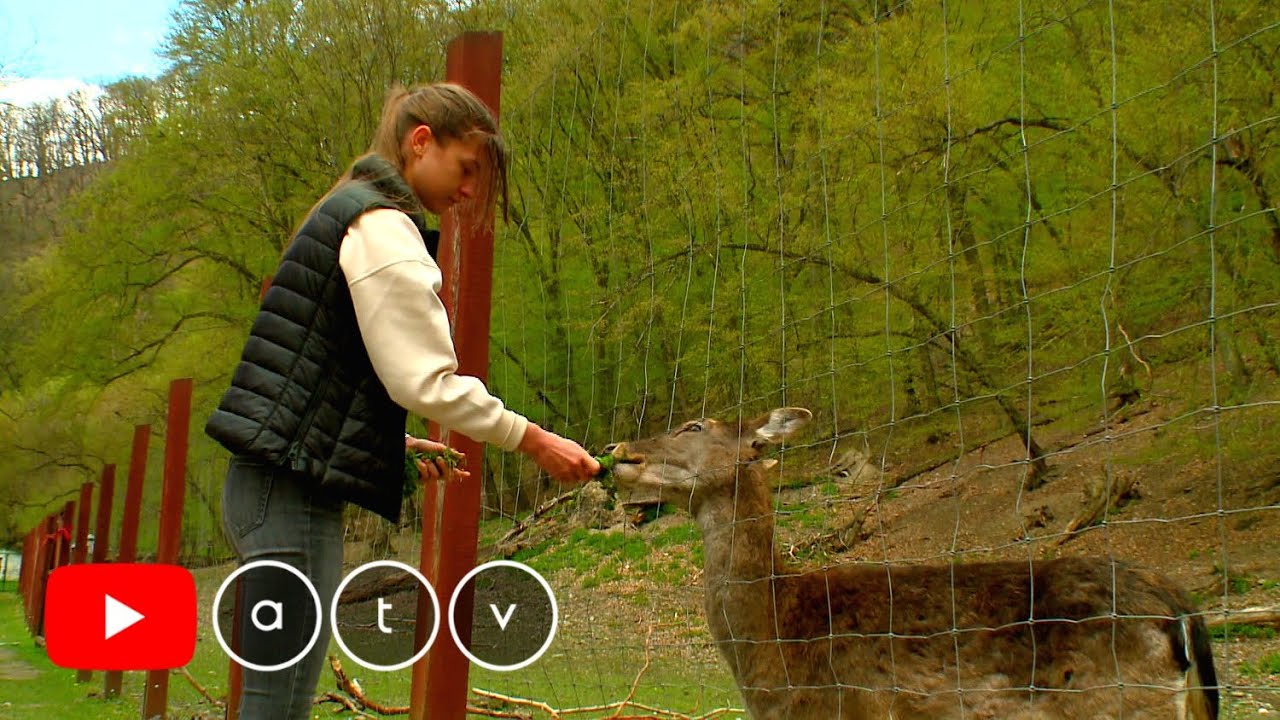 Szilvásvárad 2. rész: Szalajka-völgy