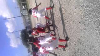 Harte softball team Harlem Shake!