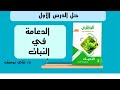 الدعامة في النبات من كتاب الوافي بنك الأسئلة والتدريبات متعة الأحياء مع كتاب الوافي بنك الأسئلة 
