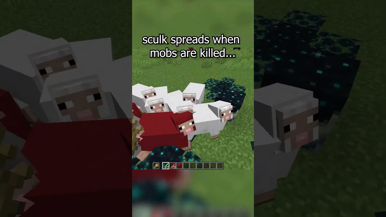 CLICK THE SOUND 🔊IT GIVES ME MONEY 💵💸