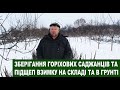 № 113 Зберігання саджанців та підщеп горіха взимку у складі та на відкритому грунті