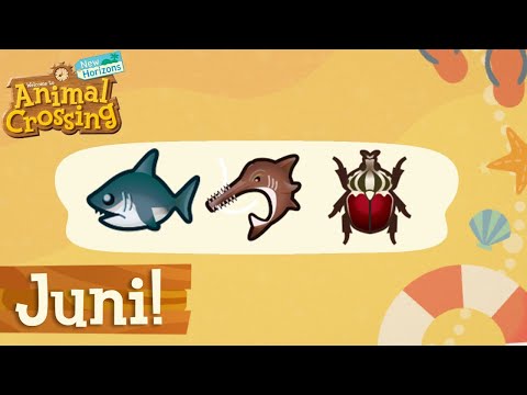 Video: Neue Fische Und Käfer Im Juni: Alles, Was Diesen Monat In Animal Crossing New Horizons Ankommt Und Abreist