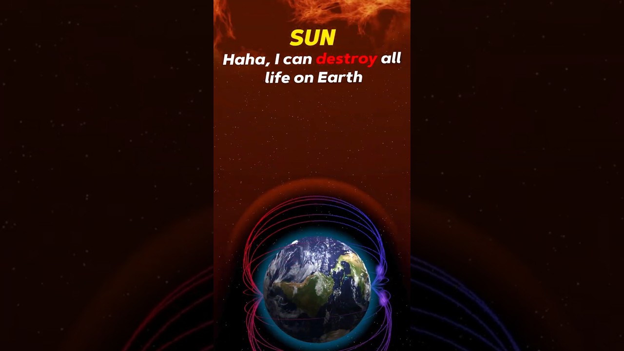 Can Tardigrades Survive the Sun?