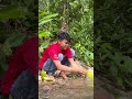 mantap kali kalau di kebun ada sungai