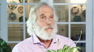 Henry Winkler Recalls How His Relatives Escaped the Holocaust (Exclusive)