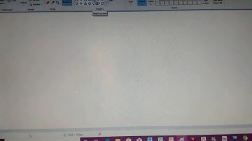 How can you rotate of flip a object on MS Paint? For Standard 4