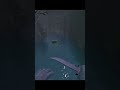 bhop water #cs2 #cs2maps #cs2bhop