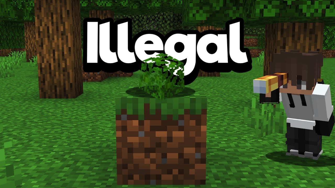 This Minecraft Leaf Is Illegal...Here's How YouTube