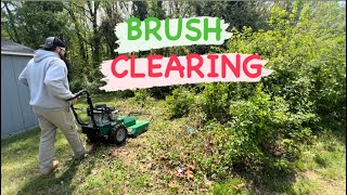 "Ultimate Brush Clearing with Billygoat Brush Hog! 🌿🚜" #landscapes #mowing #business
