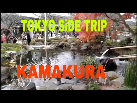 Walking in Kamakura /Virtual Travels in Kamkra/Top 5 Things to do in Kamakura ۔japan