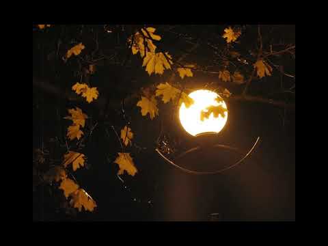 Светлый свет Твой ответ 