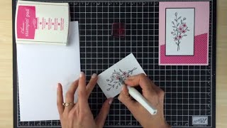 How to Color with Wink of Stella