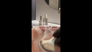 Introducing: TricociSkin™ Facial and the Tricoci Skincare