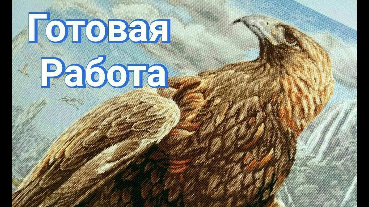 Anchor 01229, 3D Eagle завершен