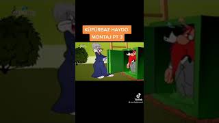Haydo Serisi 10