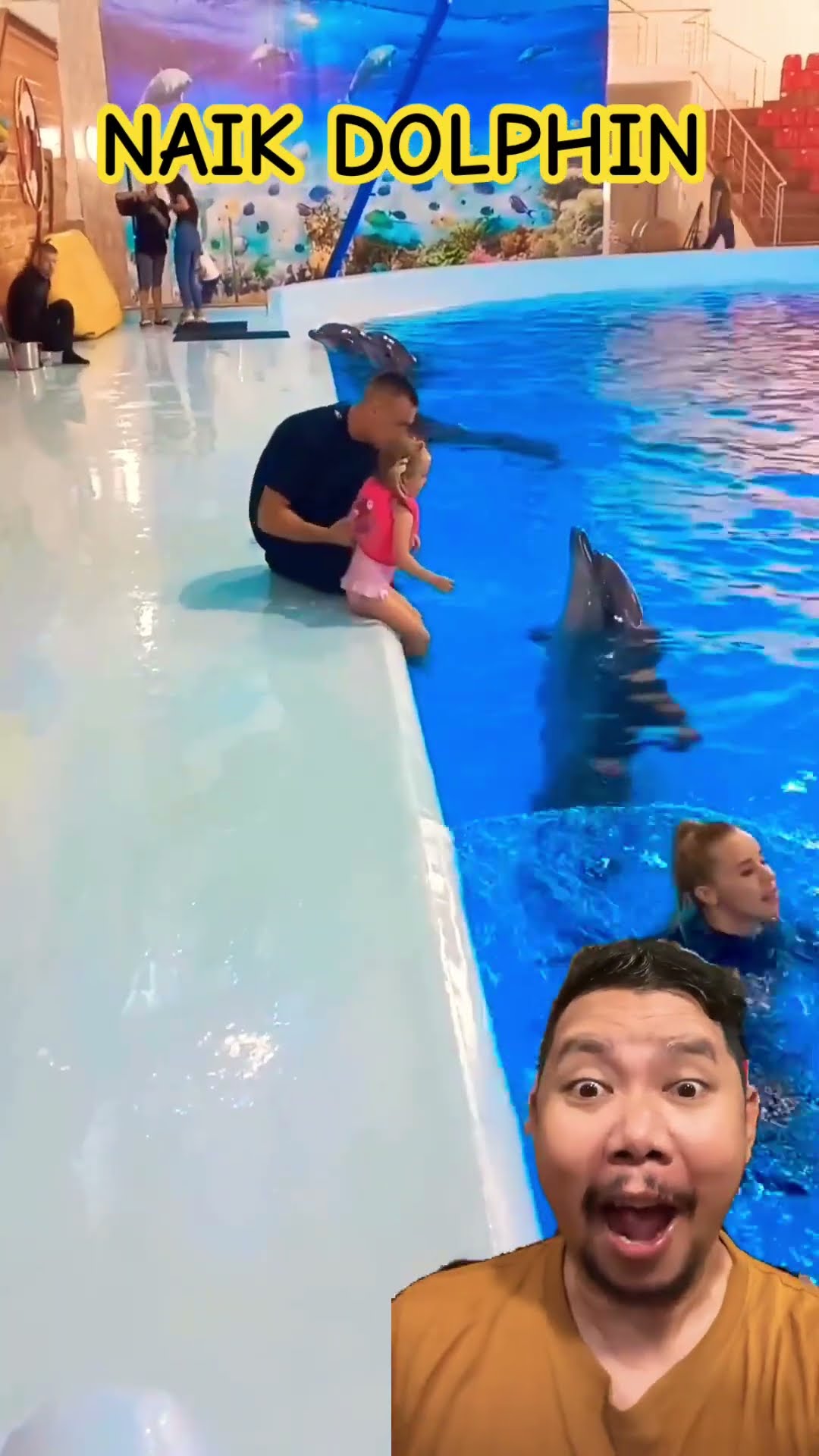 Siapa berani Naik dolphin!!?? #aquarium #funny #comedy #shortsfeed #dolphin