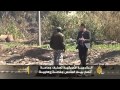 تصنيف "أنصار بيت المقدس" جماعة