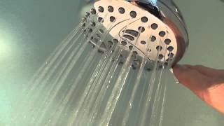 Niagara Conservation Vara Spa 5-Spray 3-3/4 in. Fixed Showerhead in Chrome