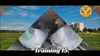 Derby Zagreb Fci, Training 15.